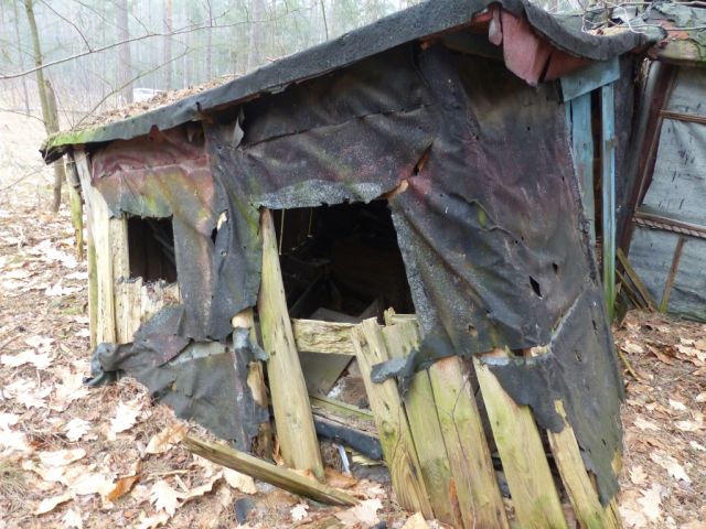Ruinöse Holzhütte - Vertragsfreie Waldfläche angrenzend an bebaute Grundstücke unweit des Ortskerns von Borkwalde