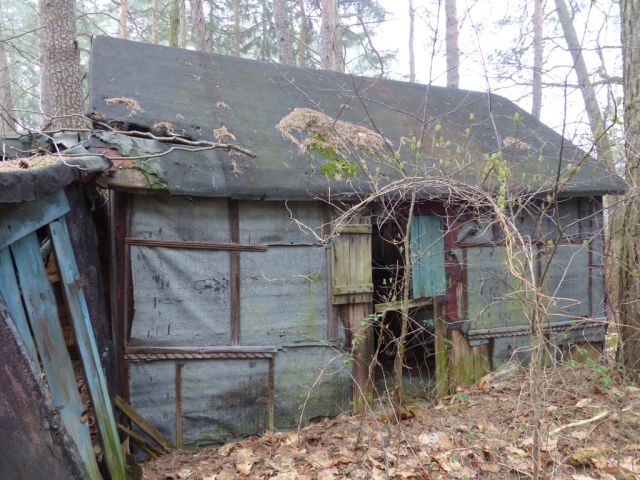 Ruinöse Holzhütte - Vertragsfreie Waldfläche angrenzend an bebaute Grundstücke unweit des Ortskerns von Borkwalde