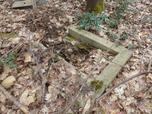 Ablagerungen auf der Verkaufsfläche - Vertragsfreie Waldfläche angrenzend an bebaute Grundstücke unweit des Ortskerns von Borkwalde