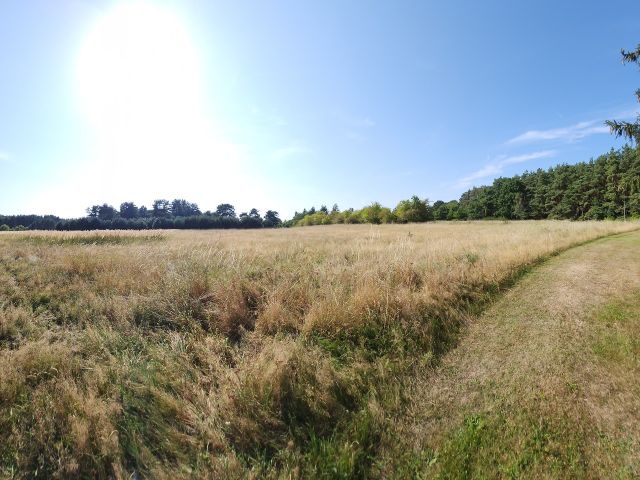 Blick Richtung Verkaufsfläche und Umgebung - Vertragsfreies Grundstück unweit vom Peenestrom **etwa 25 km von der Ostsee entfernt**