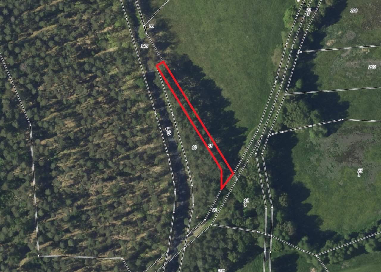 Vertragsfreier Grundstücksstreifen am Rande eines größeren Waldgebietes im Landkreis Dahme-Spreewald