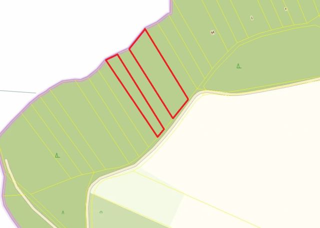 Lageskizze Flurstücke 225 und 227 - 4 Waldflächen in Streulage um den zu Dinkelsbühl gehörenden Gemeindeteil Weidelbach nahe der Landesgrenze zu Baden-Württemberg