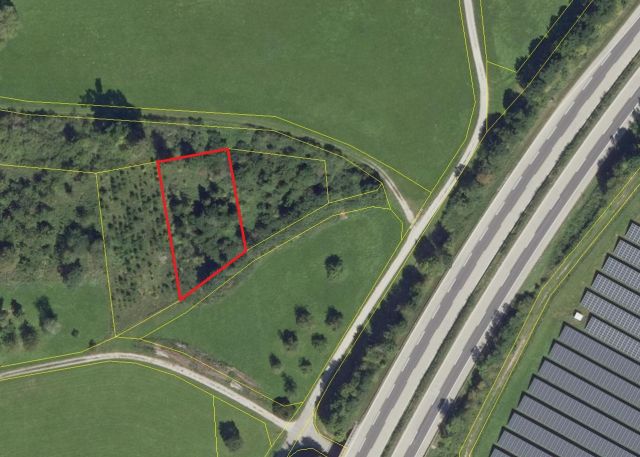 Lageskizze Flurstück 161 - 4 Waldflächen in Streulage um den zu Dinkelsbühl gehörenden Gemeindeteil Weidelbach nahe der Landesgrenze zu Baden-Württemberg