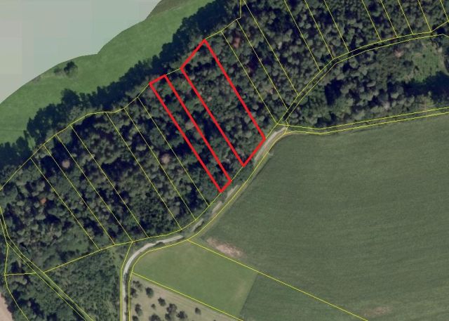 Lageskizze Flurstücke 225 und 227 - 4 Waldflächen in Streulage um den zu Dinkelsbühl gehörenden Gemeindeteil Weidelbach nahe der Landesgrenze zu Baden-Württemberg