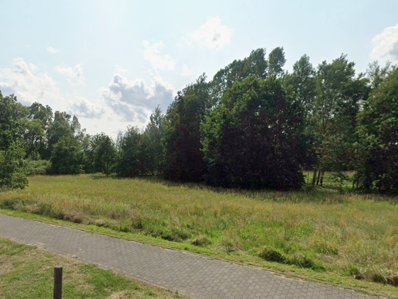 Vertragsfreie Grün-/Brachlandfläche teilweise mit Gehölzbewuchs ca. 3 km nördlich der Berliner Stadtgrenze