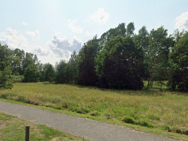 Blick Richtung Verkaufsfläche und auf die Umgebung - Vertragsfreie Grün-/Brachlandfläche teilweise mit Gehölzbewuchs ca. 3 km nördlich der Berliner Stadtgrenze