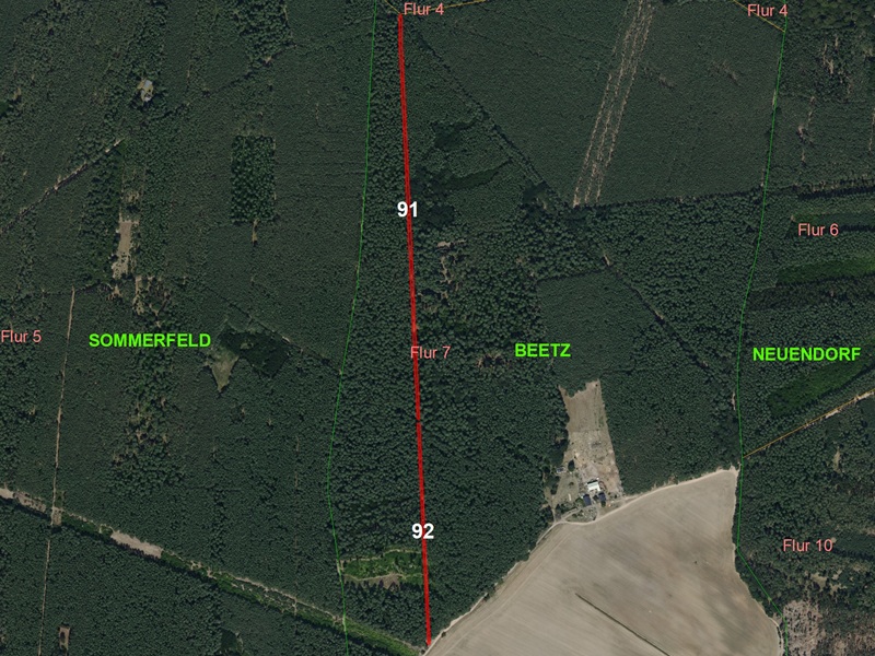 Zwei Holzungsstreifen im nördlichen Berliner Speckgürtel