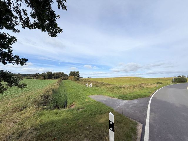 Blick auf Verkaufsfläche und Umgebung - Großes naturbelassenes Grundstück in der Mecklenburger Seenplatte ca. 1,5 km bis zum Tollensesee