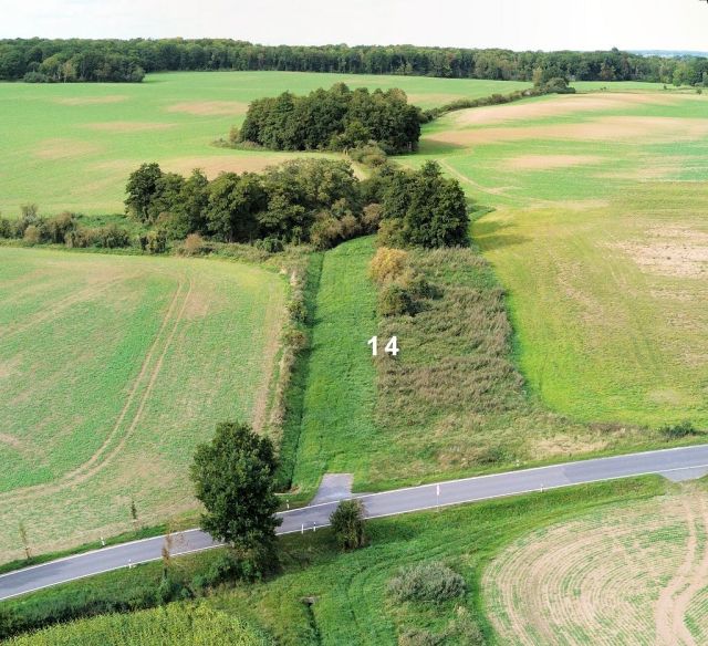 Blick auf Verkaufsfläche und Umgebung - Großes naturbelassenes Grundstück in der Mecklenburger Seenplatte ca. 1,5 km bis zum Tollensesee