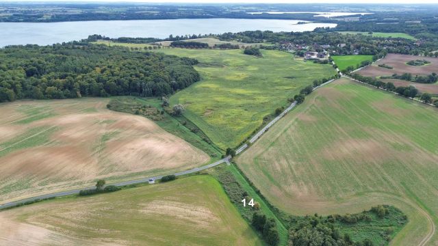 Blick auf Verkaufsfläche und Umgebung Richtung Tollensesee - Großes naturbelassenes Grundstück in der Mecklenburger Seenplatte ca. 1,5 km bis zum Tollensesee