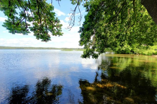 Blick auf den Tollensesee - Großes naturbelassenes Grundstück in der Mecklenburger Seenplatte ca. 1,5 km bis zum Tollensesee