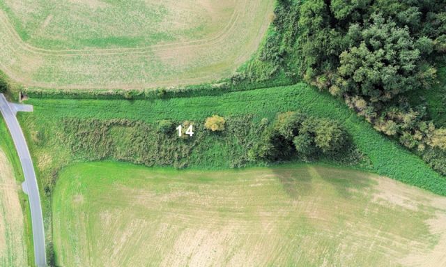 Blick auf Verkaufsfläche und Umgebung - Großes naturbelassenes Grundstück in der Mecklenburger Seenplatte ca. 1,5 km bis zum Tollensesee