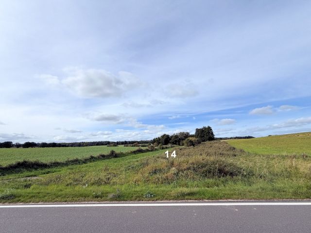 Blick auf Verkaufsfläche und Umgebung - Großes naturbelassenes Grundstück in der Mecklenburger Seenplatte ca. 1,5 km bis zum Tollensesee