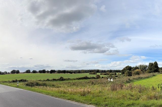 Blick auf Verkaufsfläche und Umgebung - Großes naturbelassenes Grundstück in der Mecklenburger Seenplatte ca. 1,5 km bis zum Tollensesee