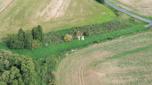 Blick auf Verkaufsfläche und Umgebung - Großes naturbelassenes Grundstück in der Mecklenburger Seenplatte ca. 1,5 km bis zum Tollensesee