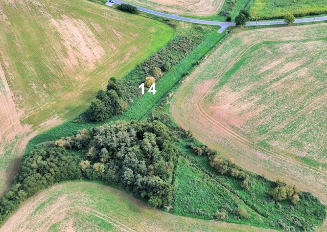 Blick auf Verkaufsfläche und Umgebung - Großes naturbelassenes Grundstück in der Mecklenburger Seenplatte ca. 1,5 km bis zum Tollensesee