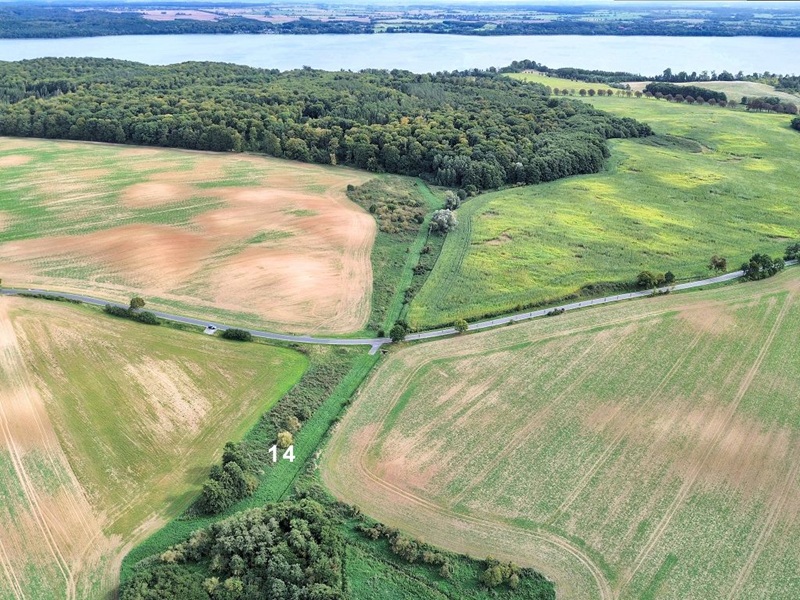 Großes naturbelassenes Grundstück in der Mecklenburger Seenplatte ca. 1,5 km bis zum Tollensesee