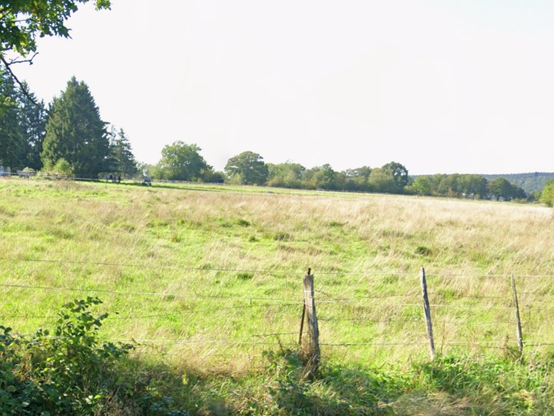 Landwirtschafts-/ Grünlandfläche teilweise mit Gehölzbewuchs nahe der Belgischen Grenze
