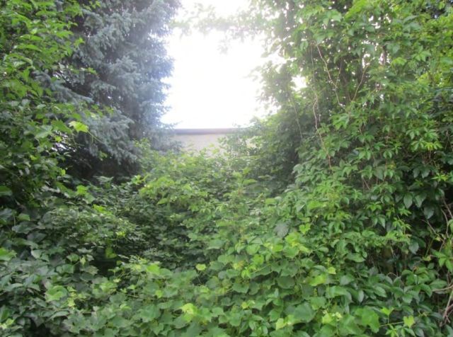 Verkaufsgegenstand - Vertragsfreies Wohngrundstück mit Garten **inklusive desolater Doppelhaushälfte**