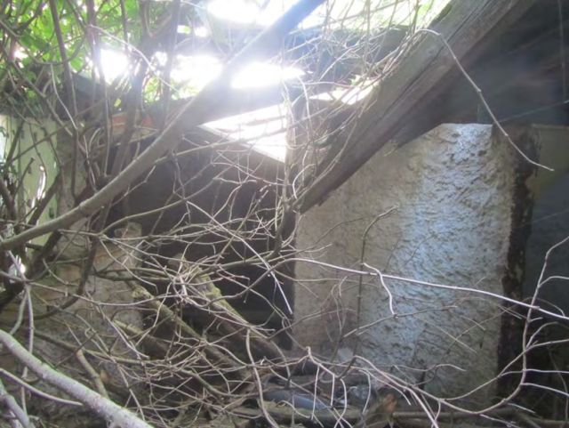 Eingestürzter Schuppen - Vertragsfreies Wohngrundstück mit Garten **inklusive desolater Doppelhaushälfte**