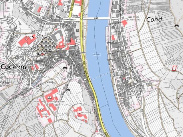 Lageskizze mit Umgebung - Vertragsfreie Waldfläche in Hanglage umgeben von Weinbergen **östlich der Mosel**