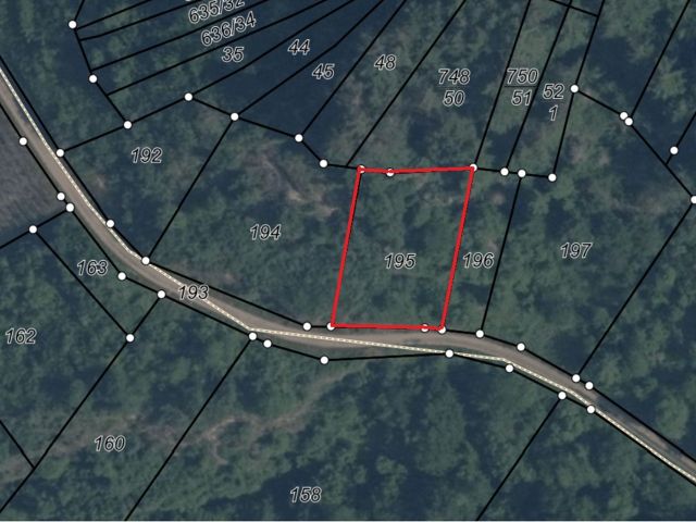 Lageskizze mit Luftbildunterlegung - Vertragsfreie Waldfläche in Hanglage umgeben von Weinbergen **östlich der Mosel**