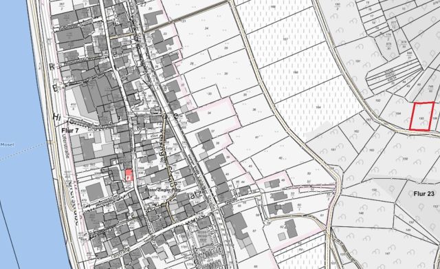 Übersicht - Lage Verkaufsfläche - Vertragsfreie Waldfläche in Hanglage umgeben von Weinbergen **östlich der Mosel**