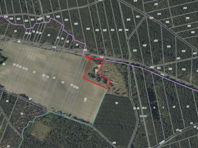 Lageskizze mit Luftbildunterlegung - Über 1 Hektar vertragsfreies Grundstück innerhalb eines größeren Waldgebietes im Spreewald