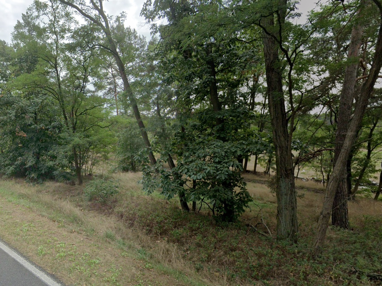 Über 1 Hektar vertragsfreies Grundstück innerhalb eines größeren Waldgebietes im Spreewald