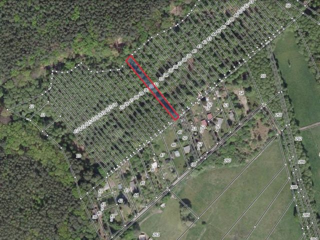 Lageskizze mit Luftbildunterlegung - Mischwald in direkter Nachbarschaft von Wochenendhäusern am Potsdamer Stadtrand