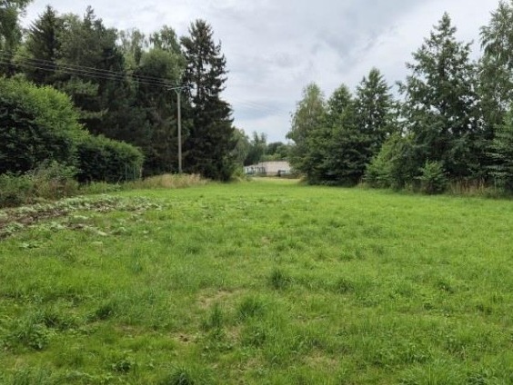 Grünland-/Unlandfläche im Südharz