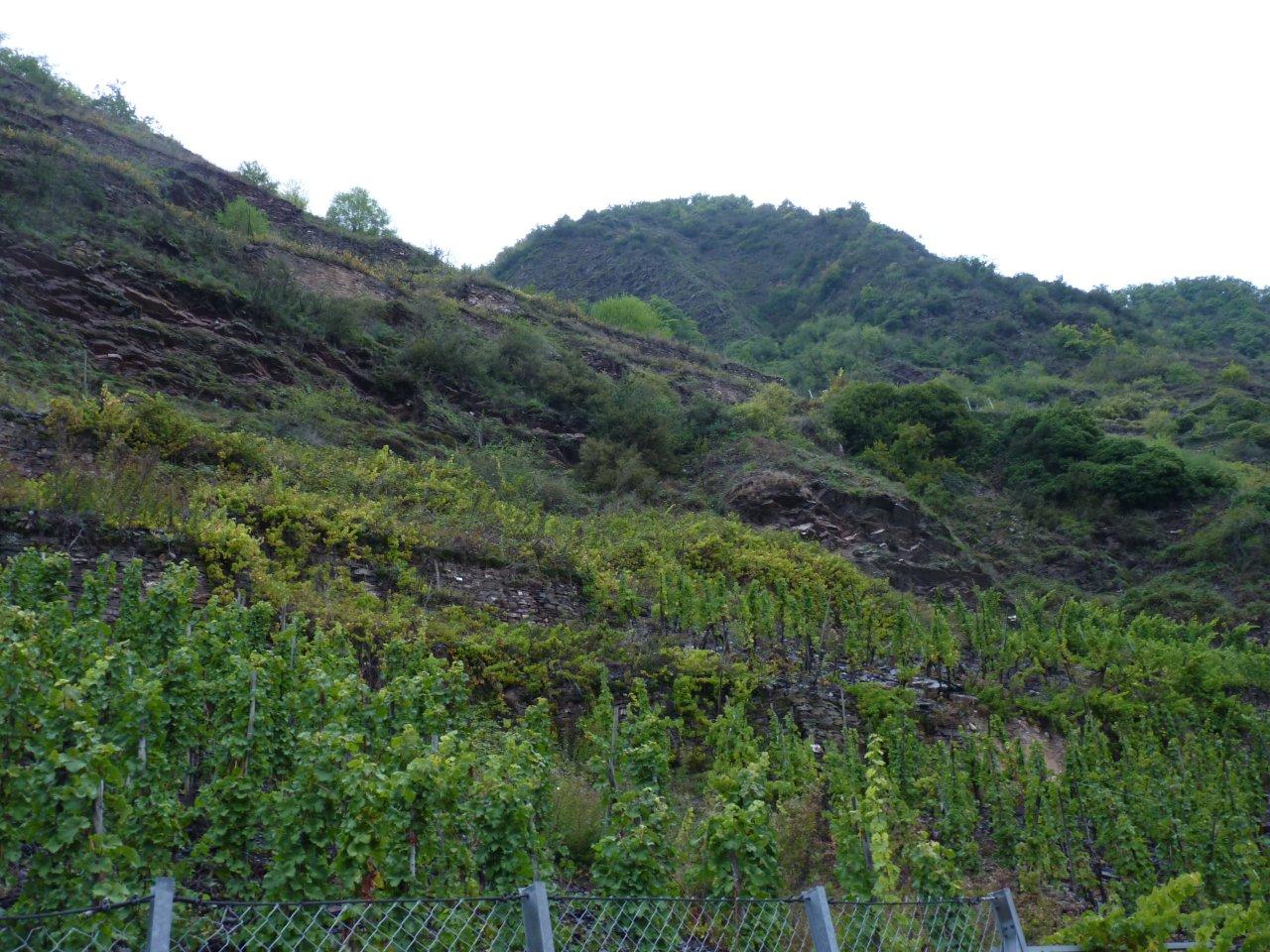 5 teilweise zusammenhängende Flächen am steilsten Weinberg Europas am Ortseingang Bremms