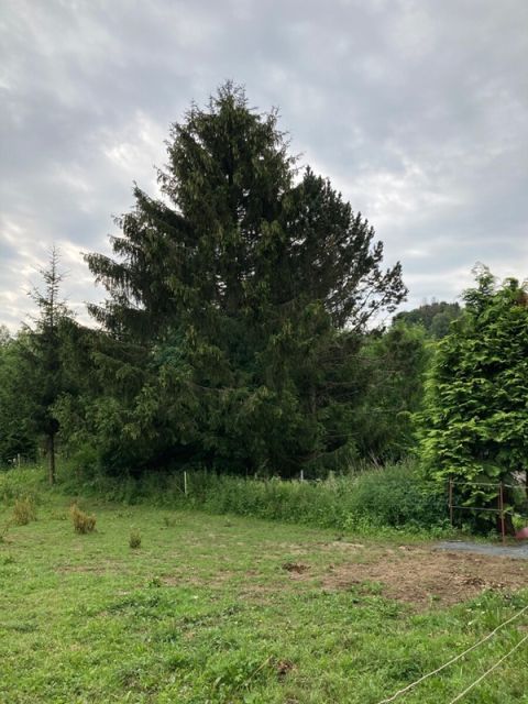 Blick auf Flurstück 331 und Umgebung - Grünland teilweise mit Gehölzbewuchs zwischen einem Wohn- und einem Gewerbegebiet am Rande des Westerwalds * lt. FNP Mischgebiet