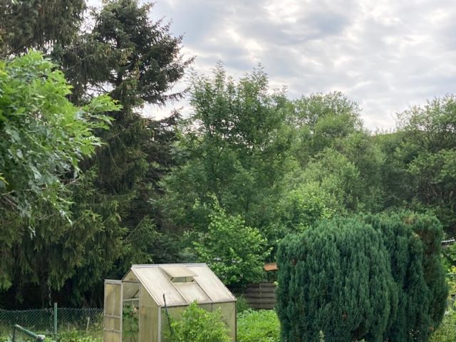 Blick über Nachbarflurstück Richtung Flurstück 331 - Grünland teilweise mit Gehölzbewuchs zwischen einem Wohn- und einem Gewerbegebiet am Rande des Westerwalds * lt. FNP Mischgebiet