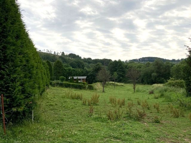 Blick auf Verkaufsfläche und Umgebung - Grünland teilweise mit Gehölzbewuchs zwischen einem Wohn- und einem Gewerbegebiet am Rande des Westerwalds * lt. FNP Mischgebiet