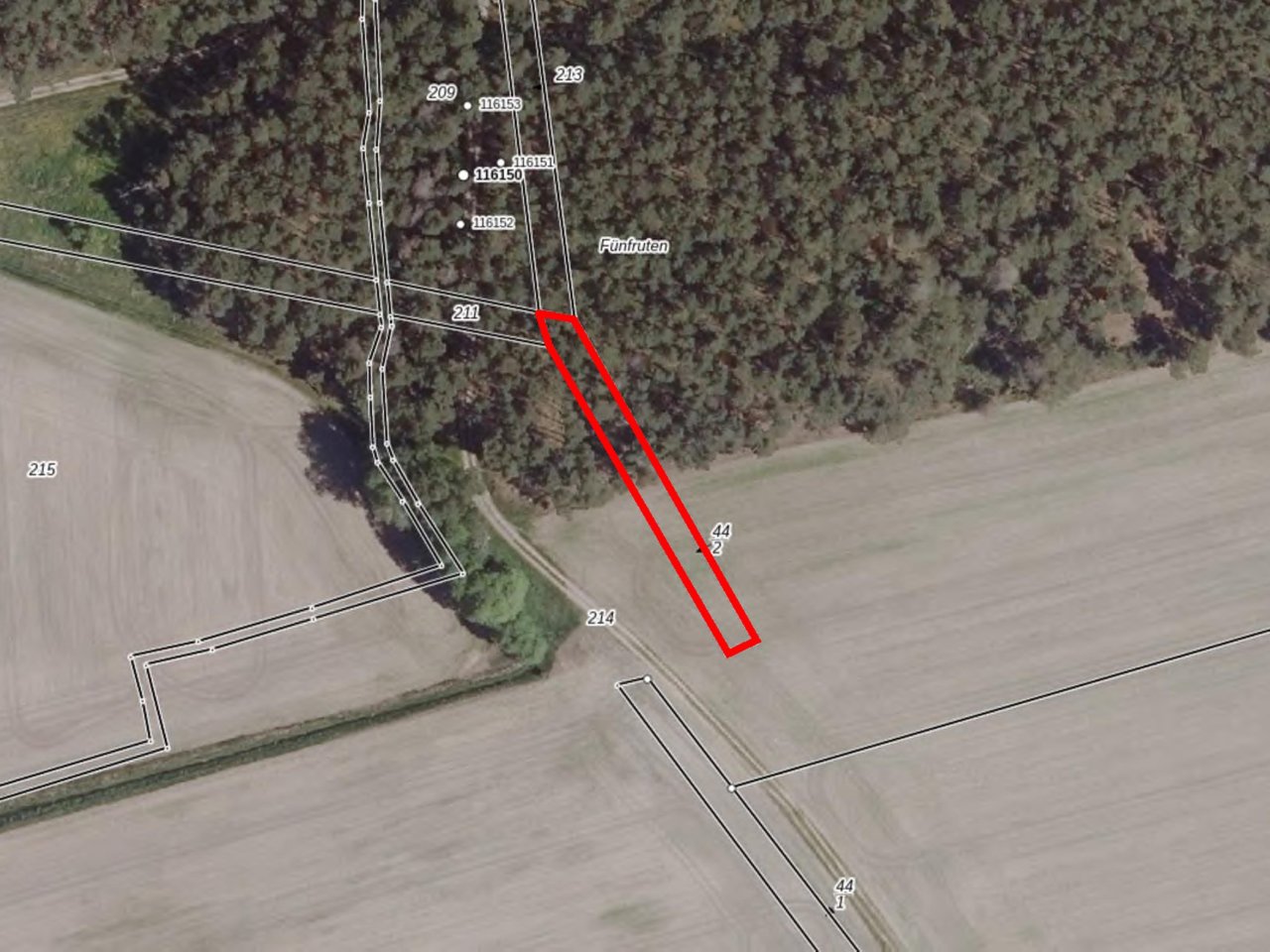 Wald und vertragslos genutzte Landwirtschaftsfläche im Landkreis Potsdam-Mittelmark