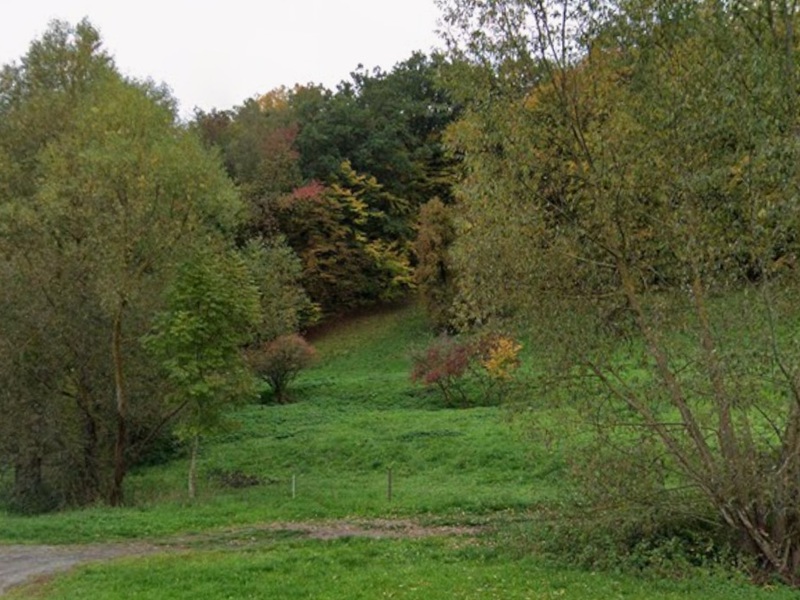 Vertragsfreie Grünfläche im Landkreis Saalfeld-Rudolstadt in Thüringen