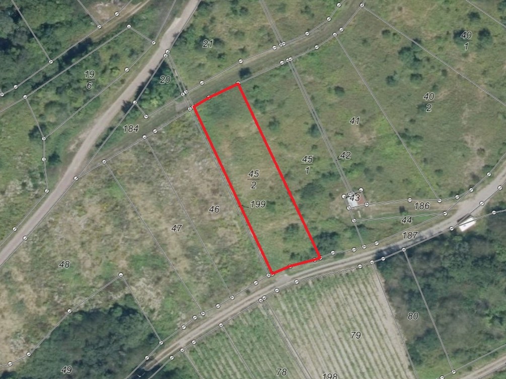 Vertragsfreie Brachfläche im Gebiet der Traben-Trarbach-Zeller Moselschlingen