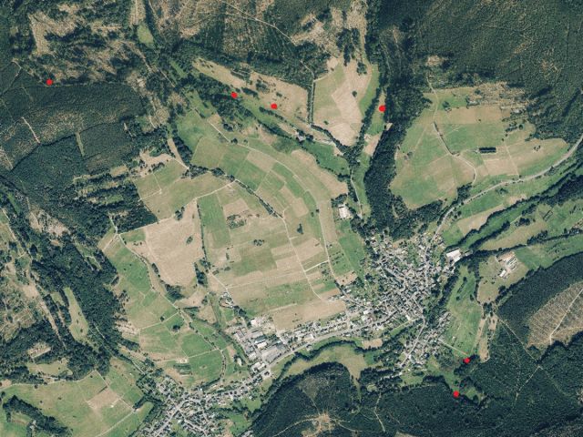 Umgebungsskizze alle Flurstücke - 5 Grünlandflächen teilweise mit Gehölzbewuchs und 1 Gehölzfläche in Streulage um Oberroßbach