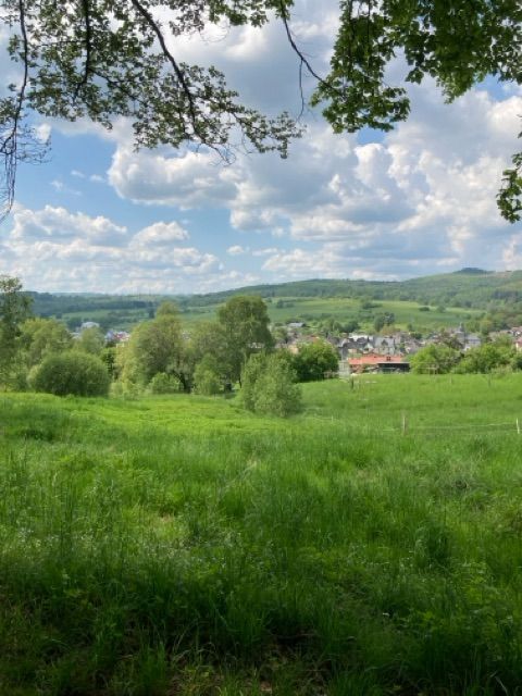 Blick auf Flurstück 753 und Umgebung - 5 Grünlandflächen teilweise mit Gehölzbewuchs und 1 Gehölzfläche in Streulage um Oberroßbach