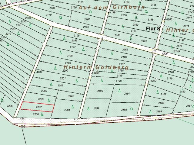 Lageskizze Flurstück 2207 - 5 Grünlandflächen teilweise mit Gehölzbewuchs und 1 Gehölzfläche in Streulage um Oberroßbach
