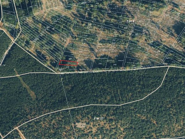 Umgebungsskizze Flurstück 2207 - 5 Grünlandflächen teilweise mit Gehölzbewuchs und 1 Gehölzfläche in Streulage um Oberroßbach