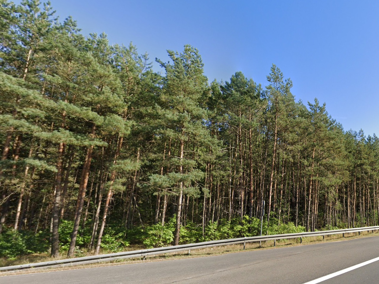 Vertragsfreie Waldfläche an der A111 **etwa 22 km vom Berliner Zentrum entfernt**