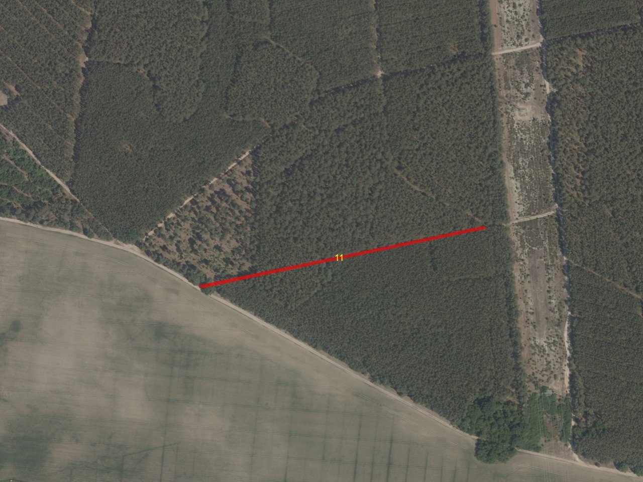 Grundstücksstreifen/ Weg am Rande eines größeren Waldgebietes **etwa 24 km vom Berliner Ring entfernt**