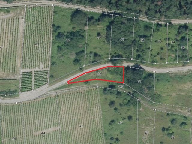 Lageskizze - Vertragsfreie Weinbrache oberhalb der Liebesschlucht im Moseltal