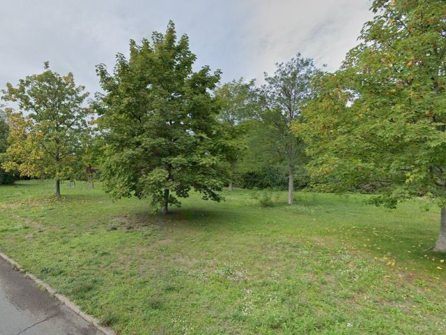 Blick von der Ferdinand-von-Schill-Straße Richtung Verkaufsfläche und Umgebung - Vertragsfreies, überwiegend mit Bäumen bewachsenes Grundstück **etwa 4 km westlich vom Badestrand Scheibe-See entfernt**