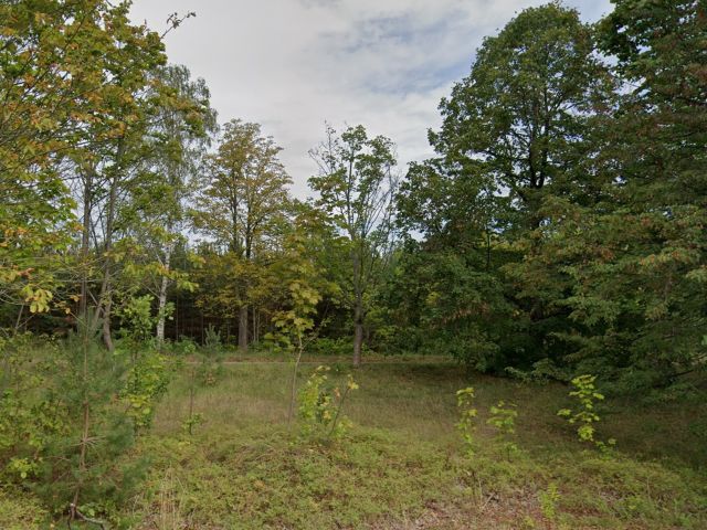 Blick von der Gerhard-von-Scharnhorst-Straße Richtung Verkaufsfläche und Umgebung - Vertragsfreies, überwiegend mit Bäumen bewachsenes Grundstück **etwa 4 km westlich vom Badestrand Scheibe-See entfernt**