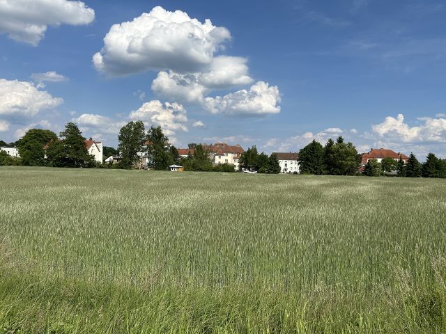 Blick auf die Verkaufsfläche und Umgebung - Grundstück ggü. einem Wohnhaus *lt. FNP-Entwurf zukünftige Wohnbaufläche* etwa 34 km vom Cottbuser Zentrum entfernt