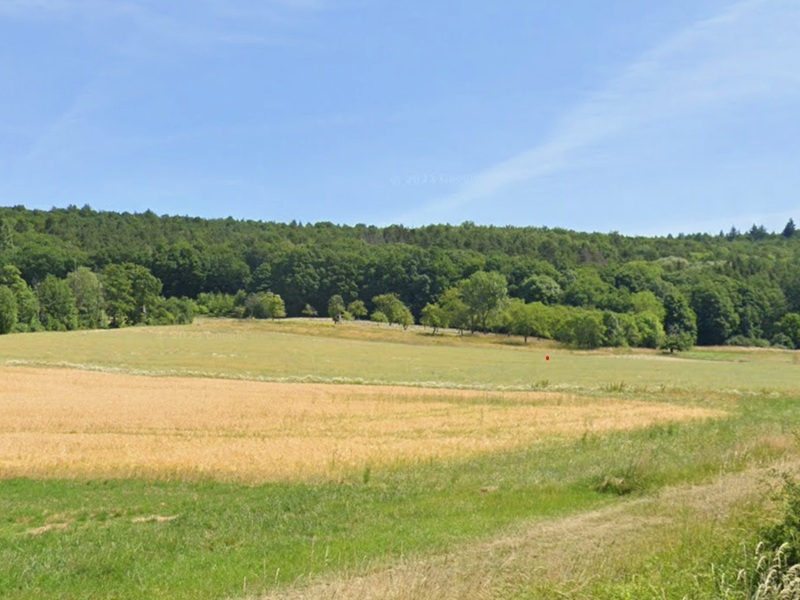 Kleine Waldfläche in Unterfranken