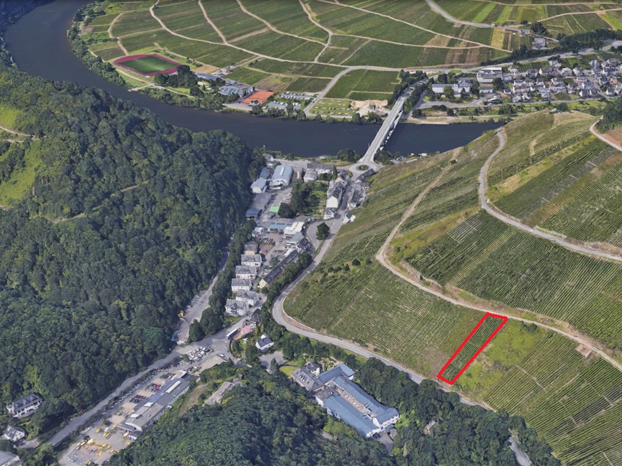 Weinberg mit der Rebsorte Weißer Riesling in der Weinlage Kreuzlay östlich der Mosel **sofortige Nutzung möglich**